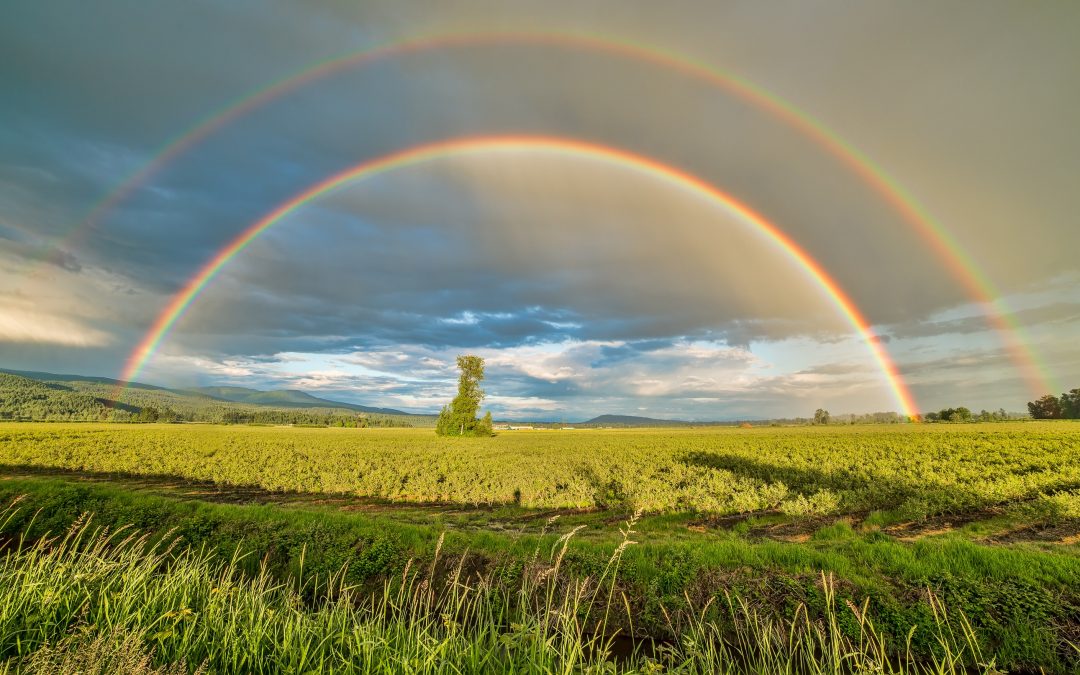 The Benefits of Raising Your Vibration